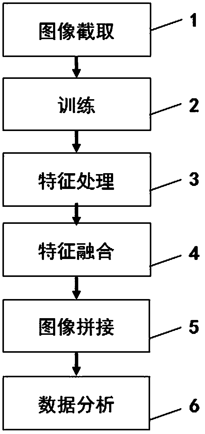 Cell detection segmentation system and method based on a deep learning neural network