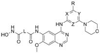 4-aminoquinazoline compound containing morpholinyl aromatic heterocycle and hydroximic acid structure and preparation method thereof