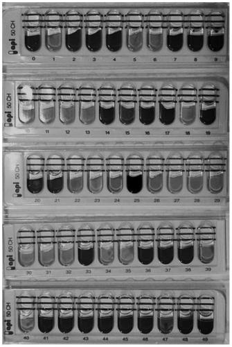 Application of lactobacillus plantarum LP33 to preparation of products for preventing lead poisoning