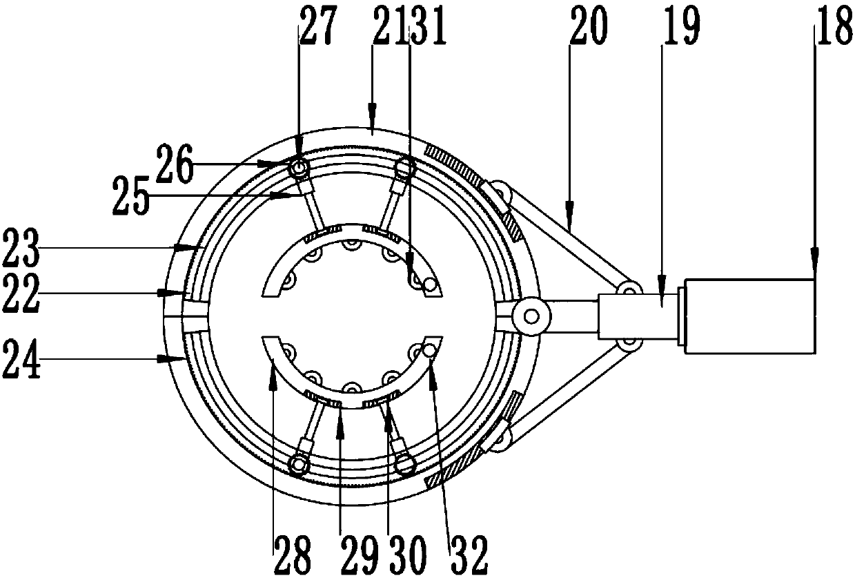 Whitewash device applicable to trees with different diameters