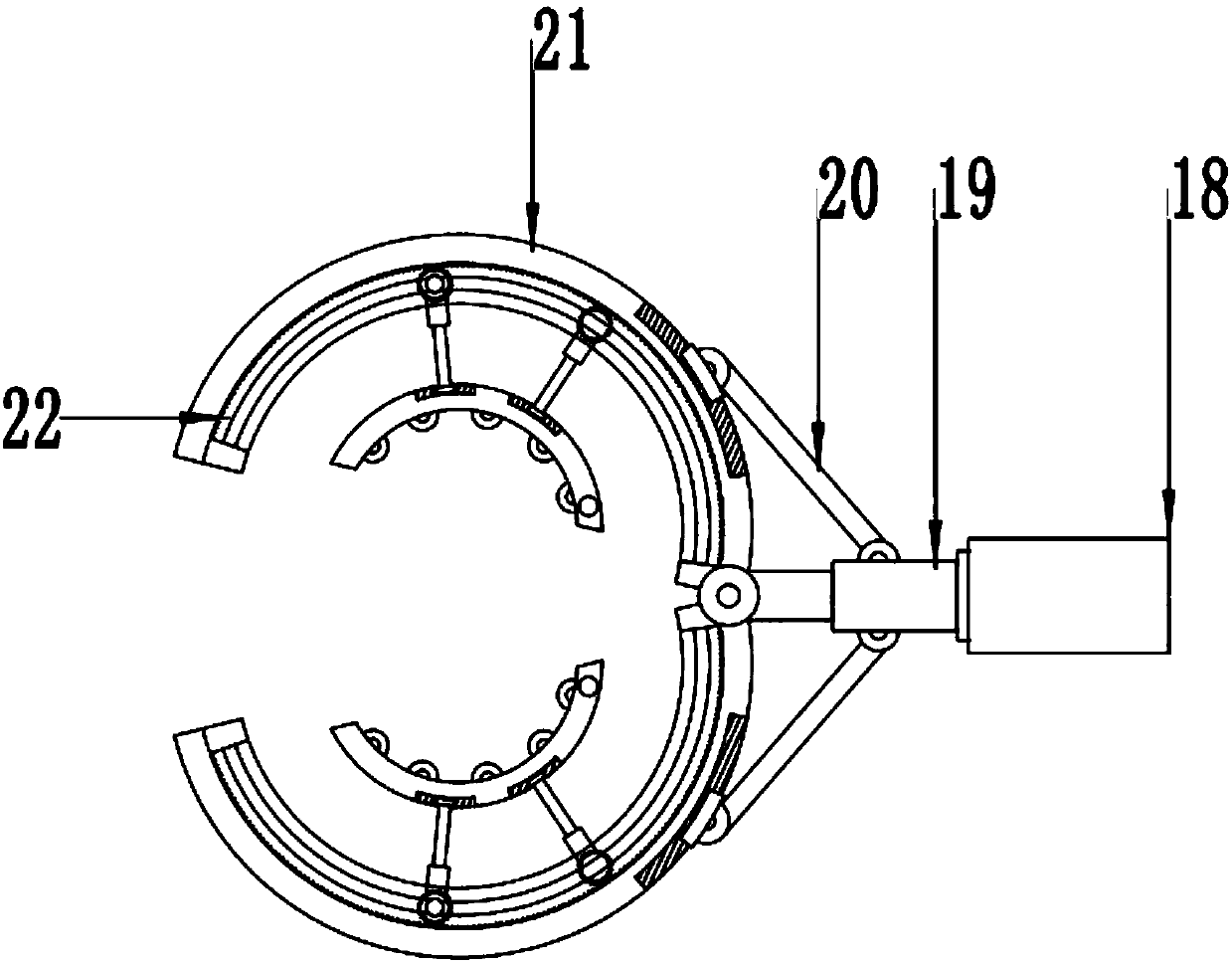 Whitewash device applicable to trees with different diameters