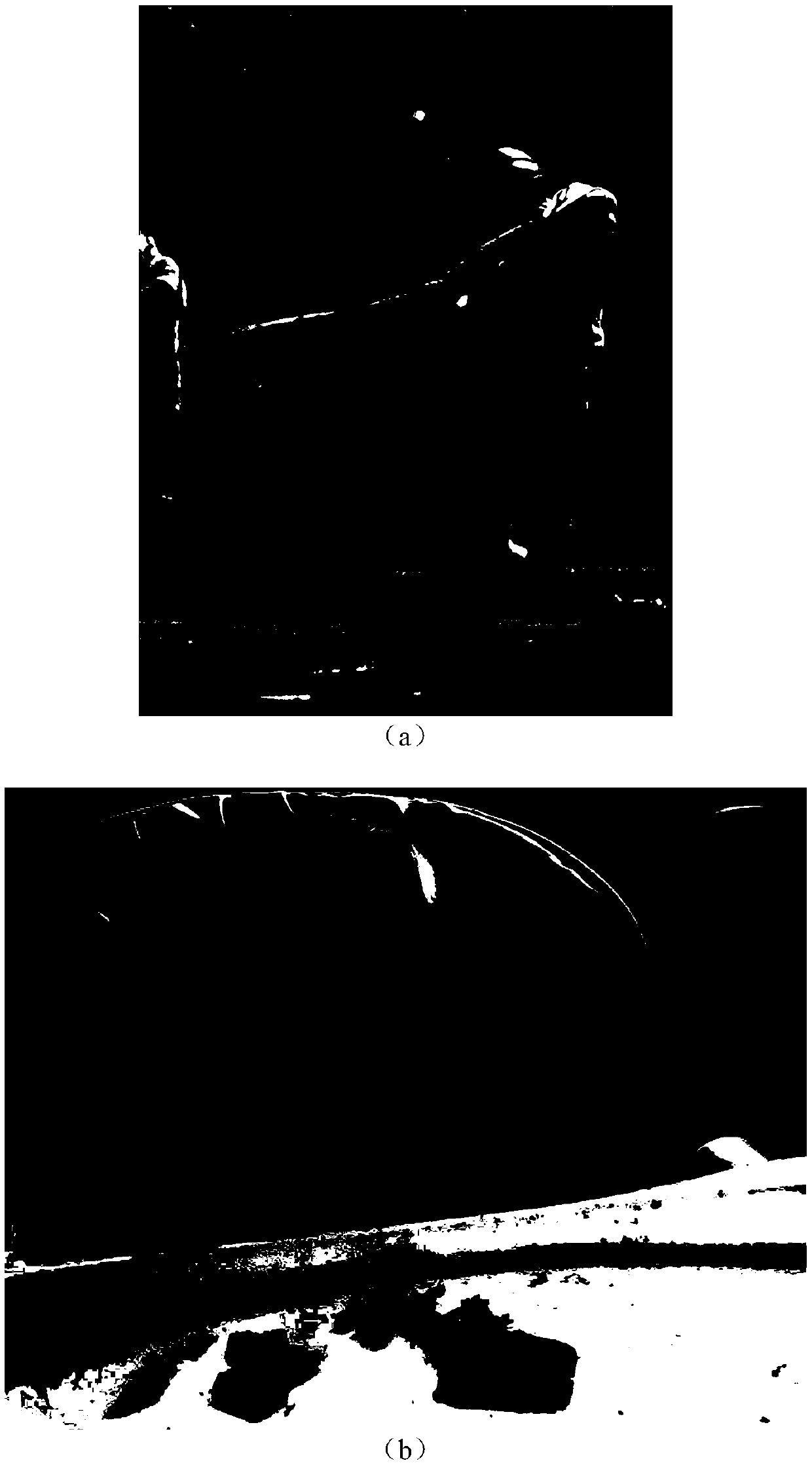 An image subtitle generation method based on MLL and ASCA-FR