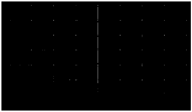 Skeleton type sulfamethoxazole sulfadiazine and trimethoprim sustained-release pellet and preparation method thereof