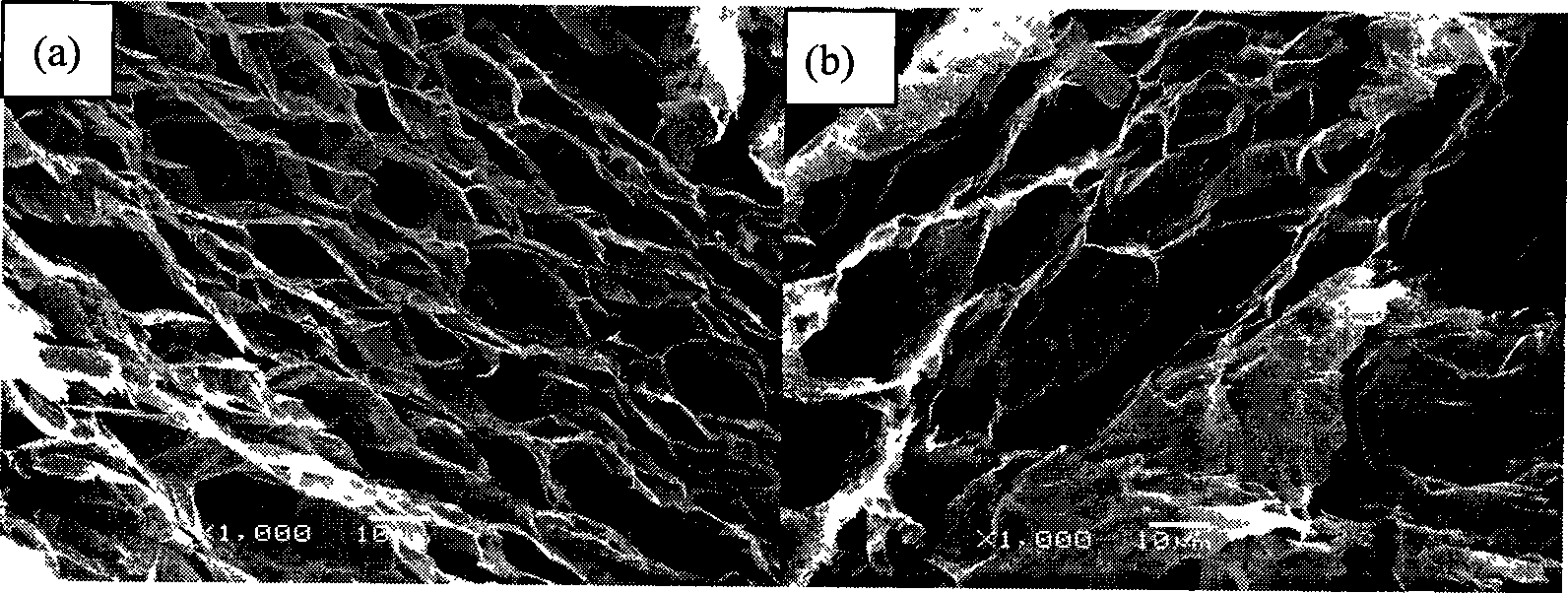 Method for preparing CTAB modified expanded graphite and use in absorbing formaldehyde gas