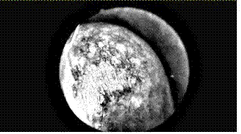 Multi-spectrum nasal cavity endoscope real-time image enhancement method and endoscope imaging system