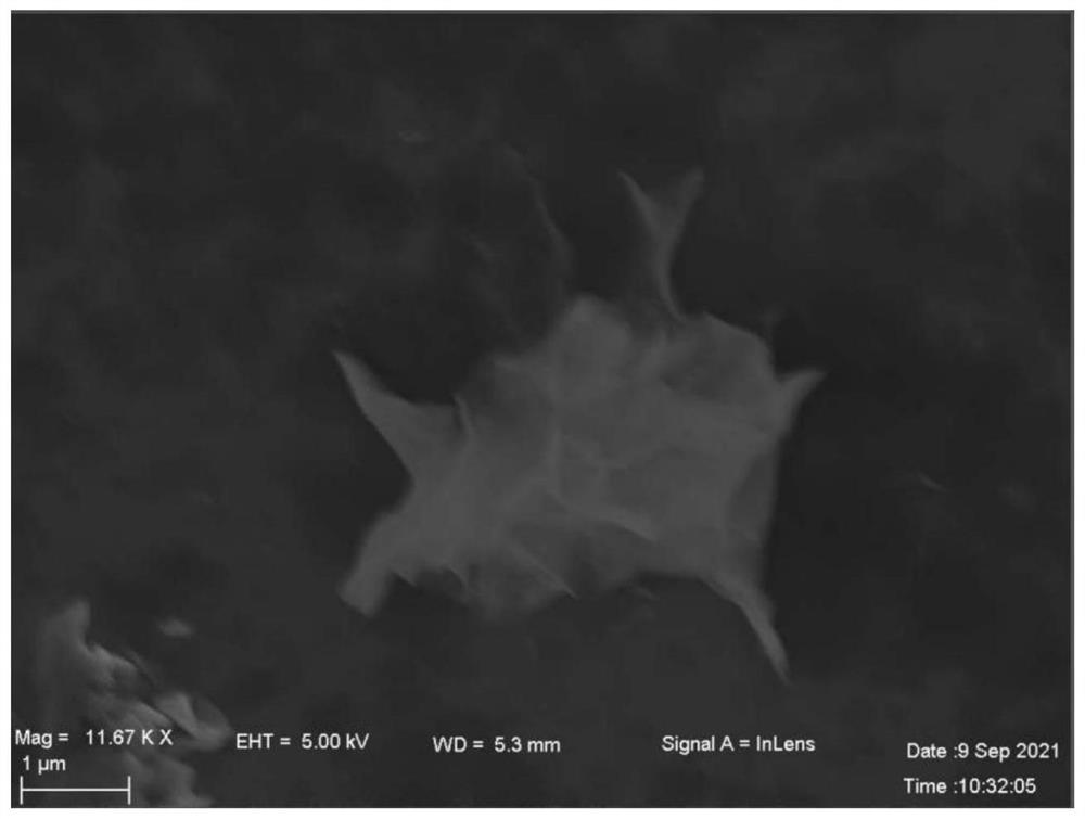 Ni-Cu LDH electrocatalyst with nanoflower structure, preparation method and application thereof