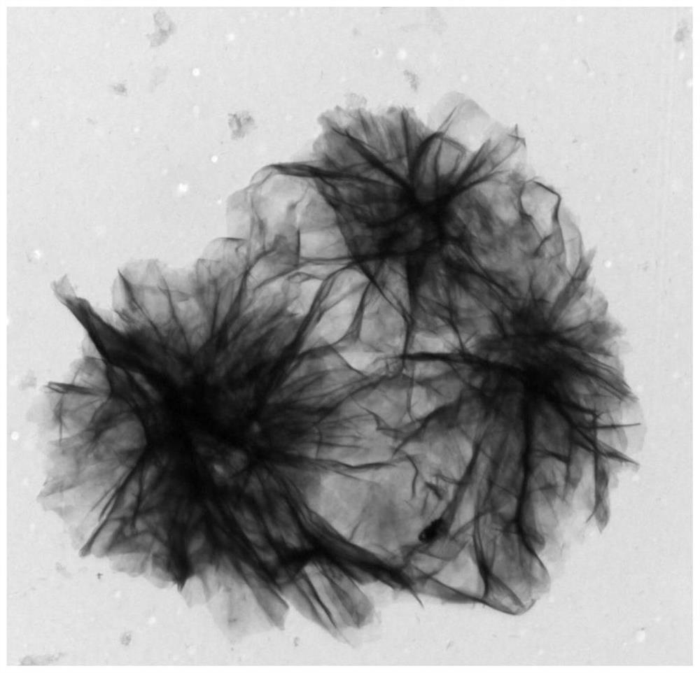 Ni-Cu LDH electrocatalyst with nanoflower structure, preparation method and application thereof