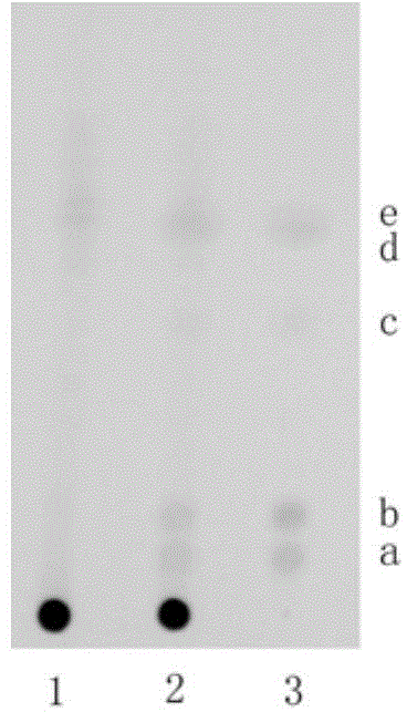 Rapid screening method of a plurality of chemical components illegally added in Chinese patent medicine