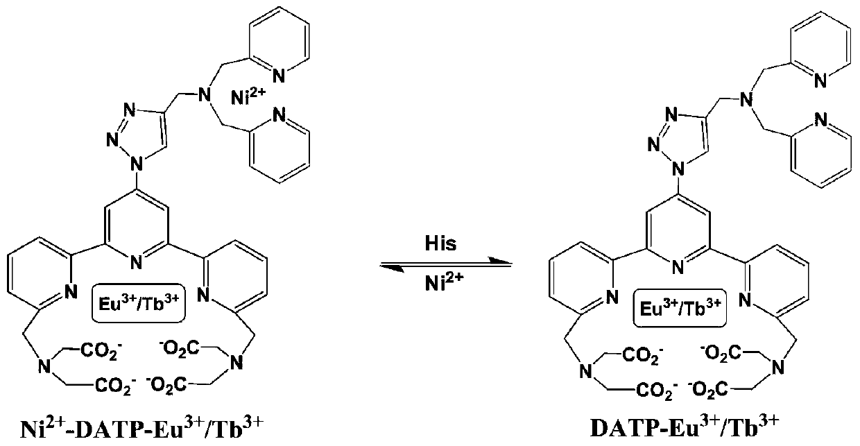 Ligand, preparation method thereof, fluorescent probe, and preparation method and application of fluorescent probe