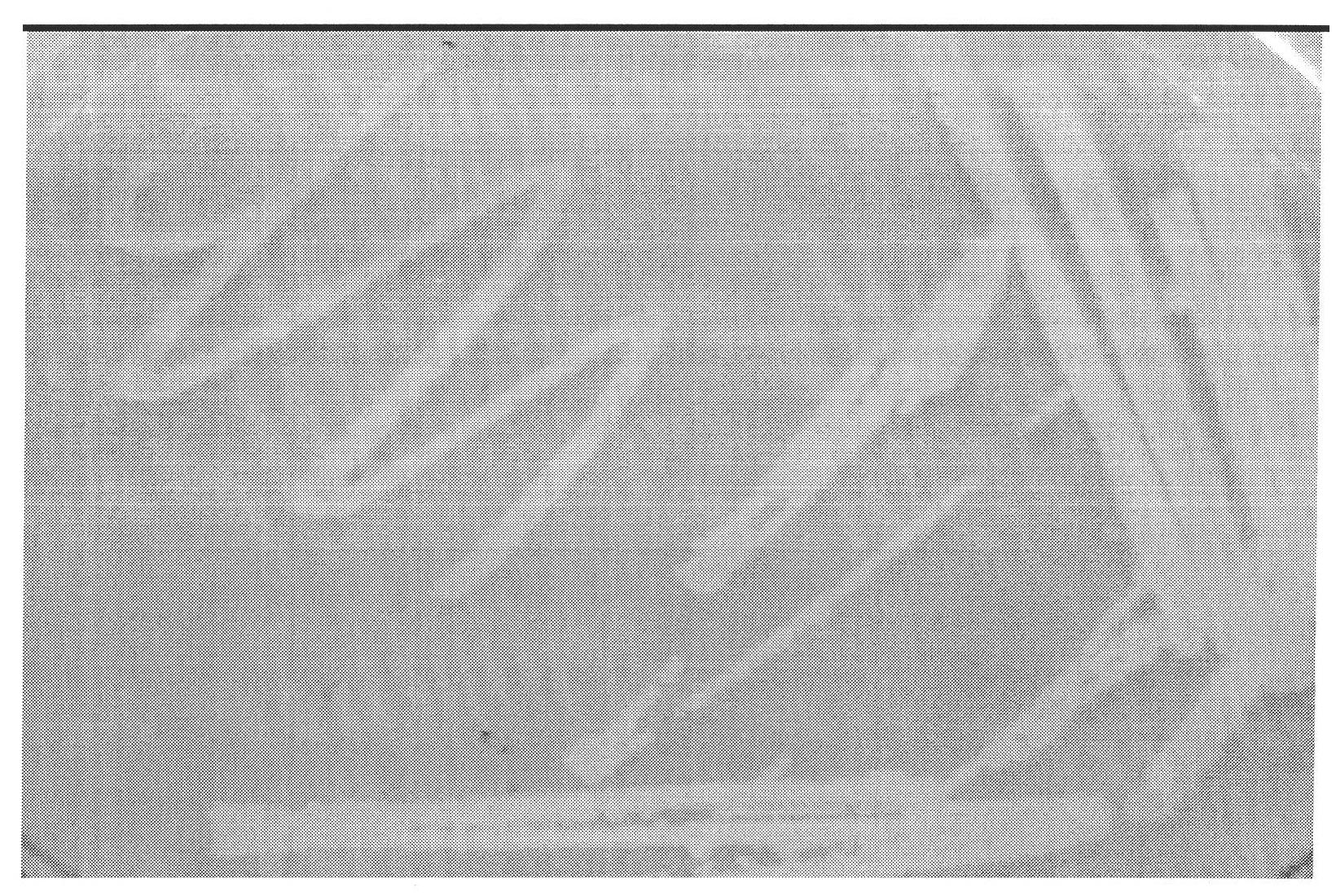 Nitrous acid-type denitrification bacteria strain and application thereof