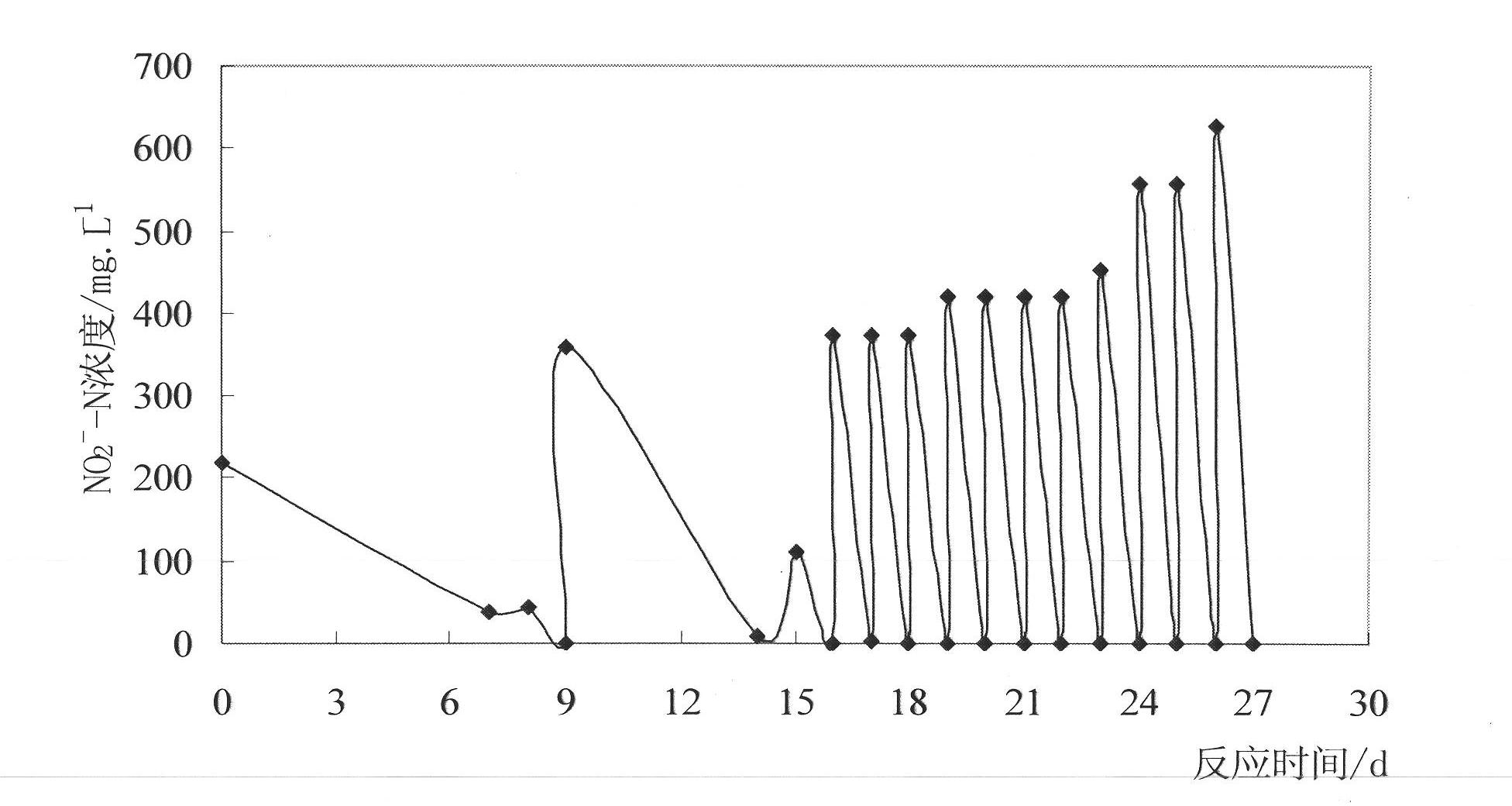 Nitrous acid-type denitrification bacteria strain and application thereof