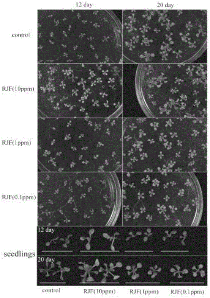 Application of pyridyl ancymidol compounds in plant induced resistance