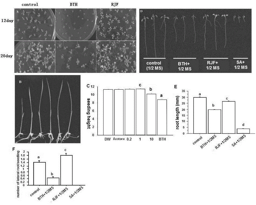 Application of pyridyl ancymidol compounds in plant induced resistance