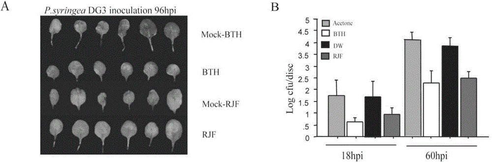 Application of pyridyl ancymidol compounds in plant induced resistance