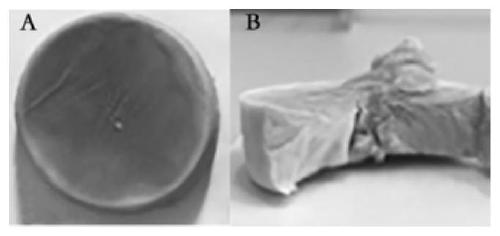 Plant cellulose absorption sponge, and preparation method and application of plant cellulose absorption sponge