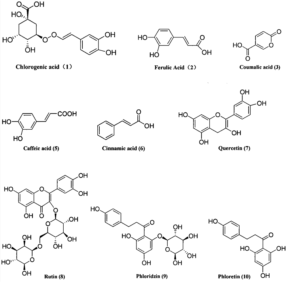 Standard apple extract as well as preparation and analysis method of standard apple extract