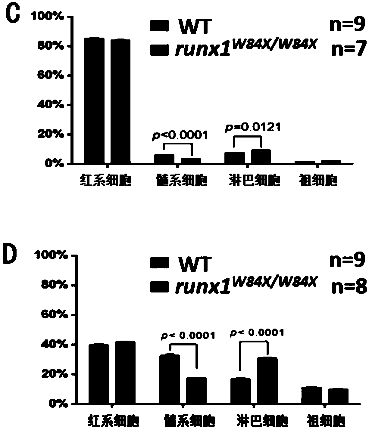 Application of mutant zebra fish in preparation of animal model of common variable immunodeficiency disease