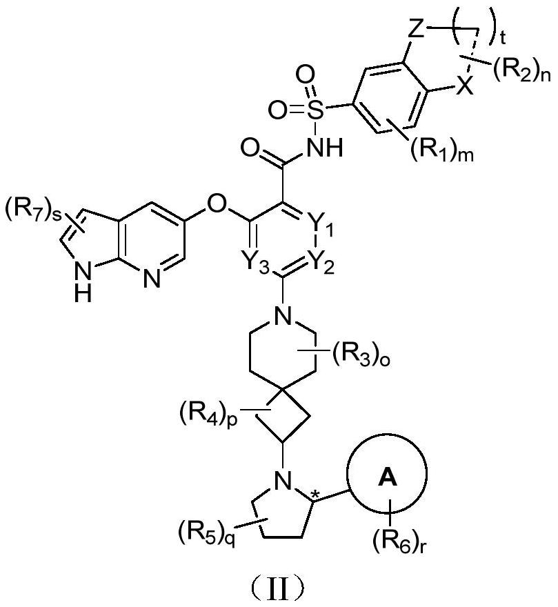 Bcl-2 protein apoptosis inducer and application