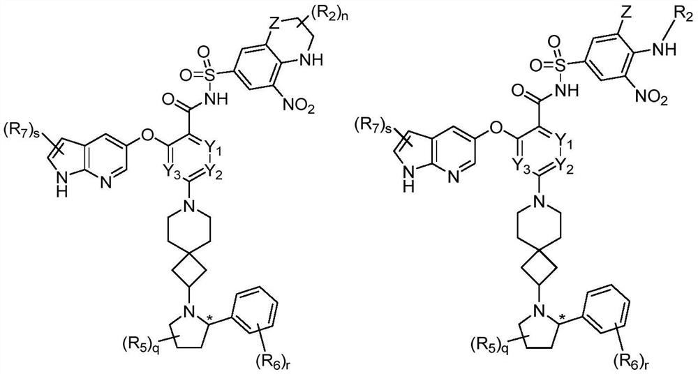 Bcl-2 protein apoptosis inducer and application