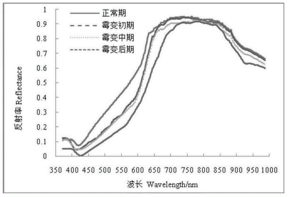 Nondestructive testing method and system of fatty acid content of rice