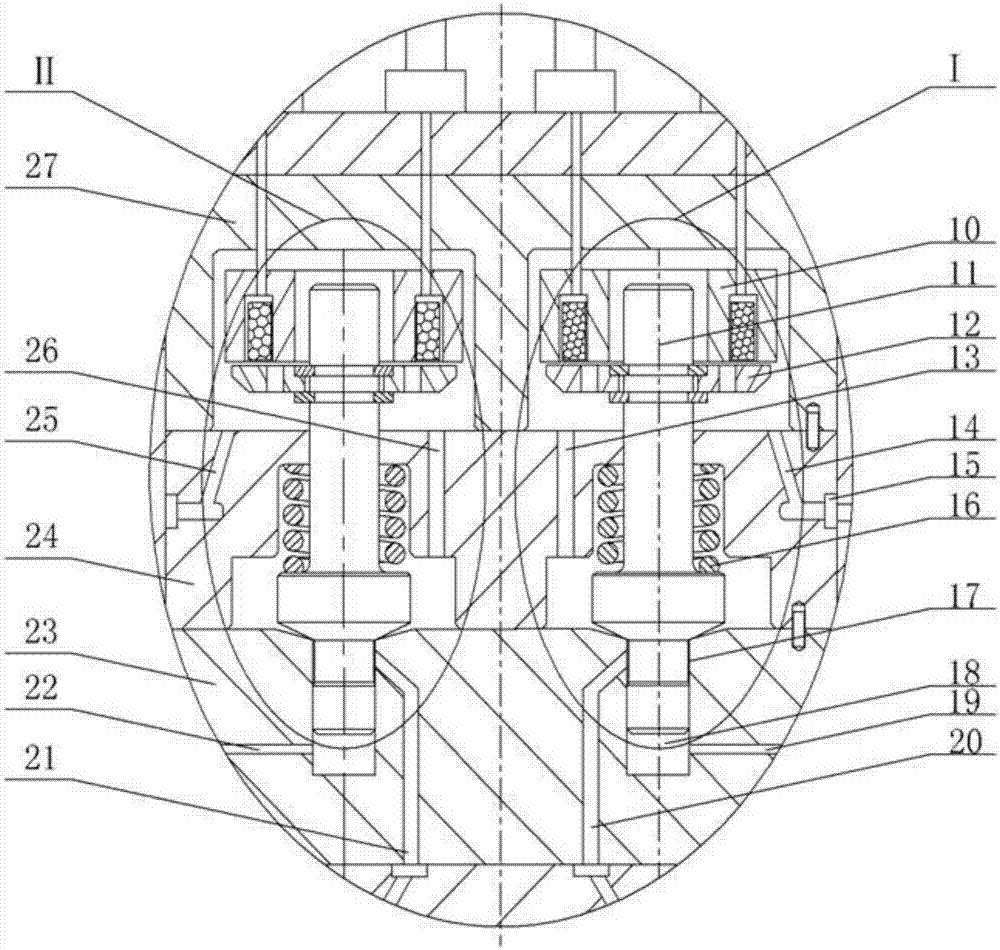 Combined double electromagnetic gas injection device