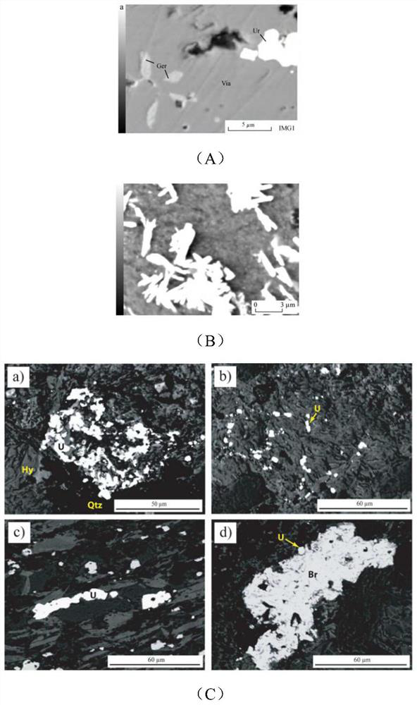 Unconventional uranium polymetallic ore mineral green separation method