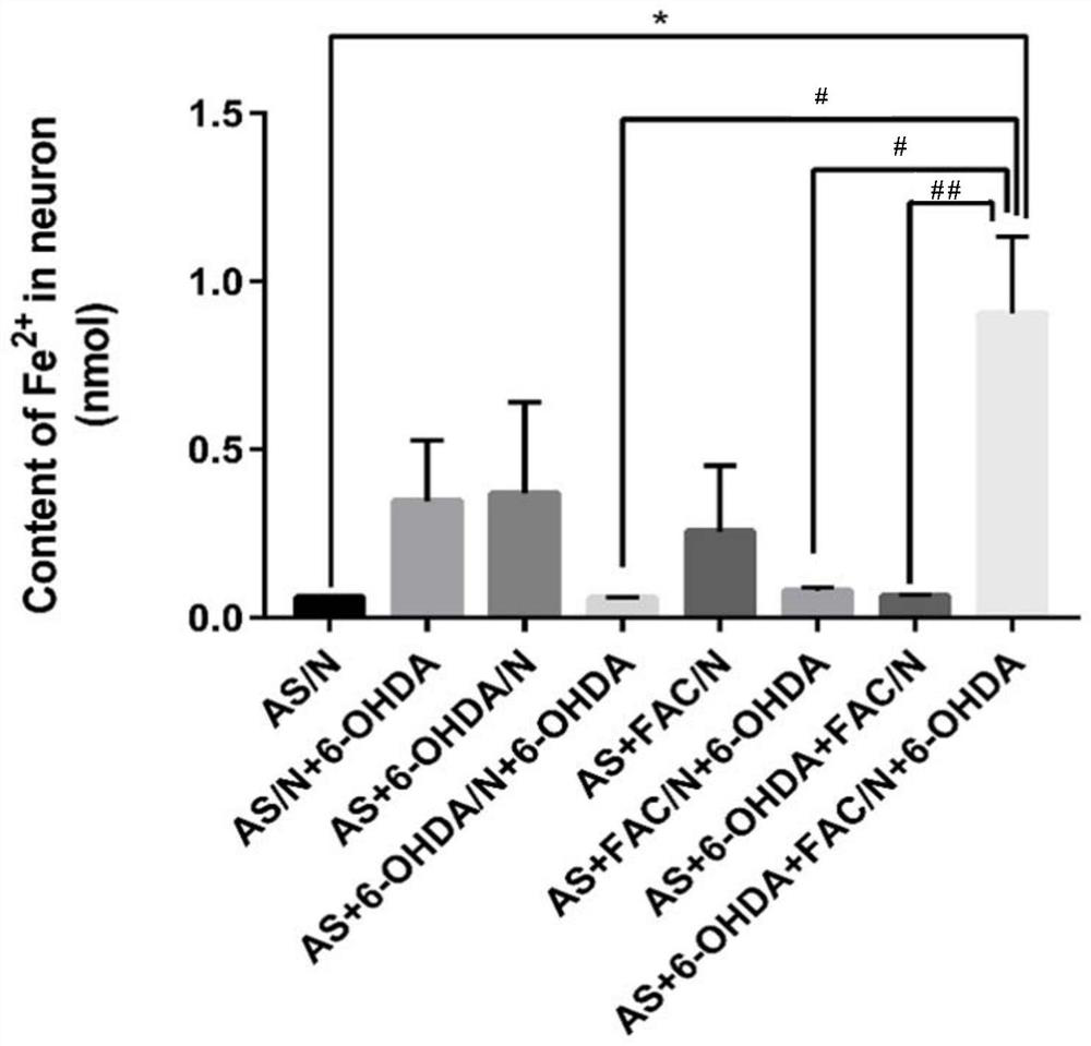 Application of primary astrocytes/primary ventral midbrain neurons co-culture system in the study of iron metabolism between astrocytes and neurons