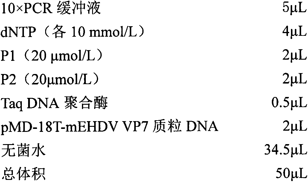 Rapid detection test strip for epizootic hemorrhagic disease virus antibody and preparation method of rapid detection test strip