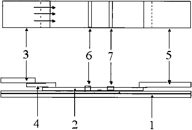 Rapid detection test strip for epizootic hemorrhagic disease virus antibody and preparation method of rapid detection test strip