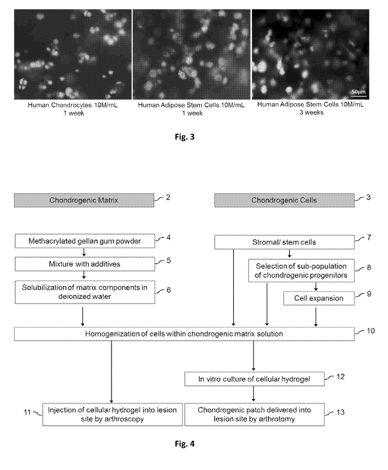 Products for repairing cartilage lesions, method of preparation and uses thereof