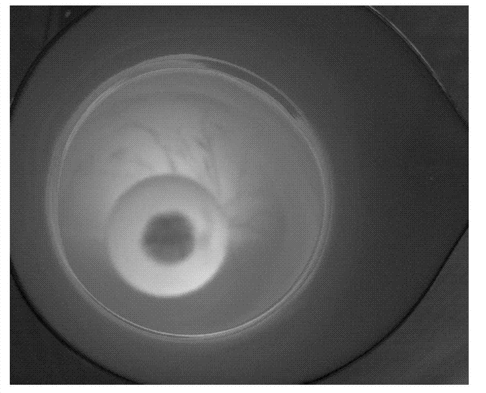 High-calcium ceramic and preparation process thereof