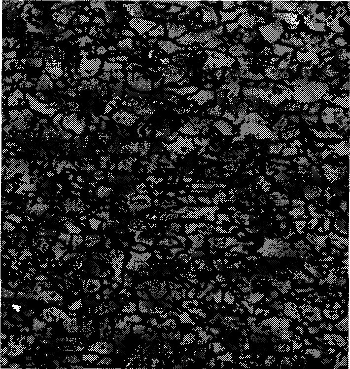 High-strength high-tensile ratio cold-rolled steel sheet and manufacturing method thereof