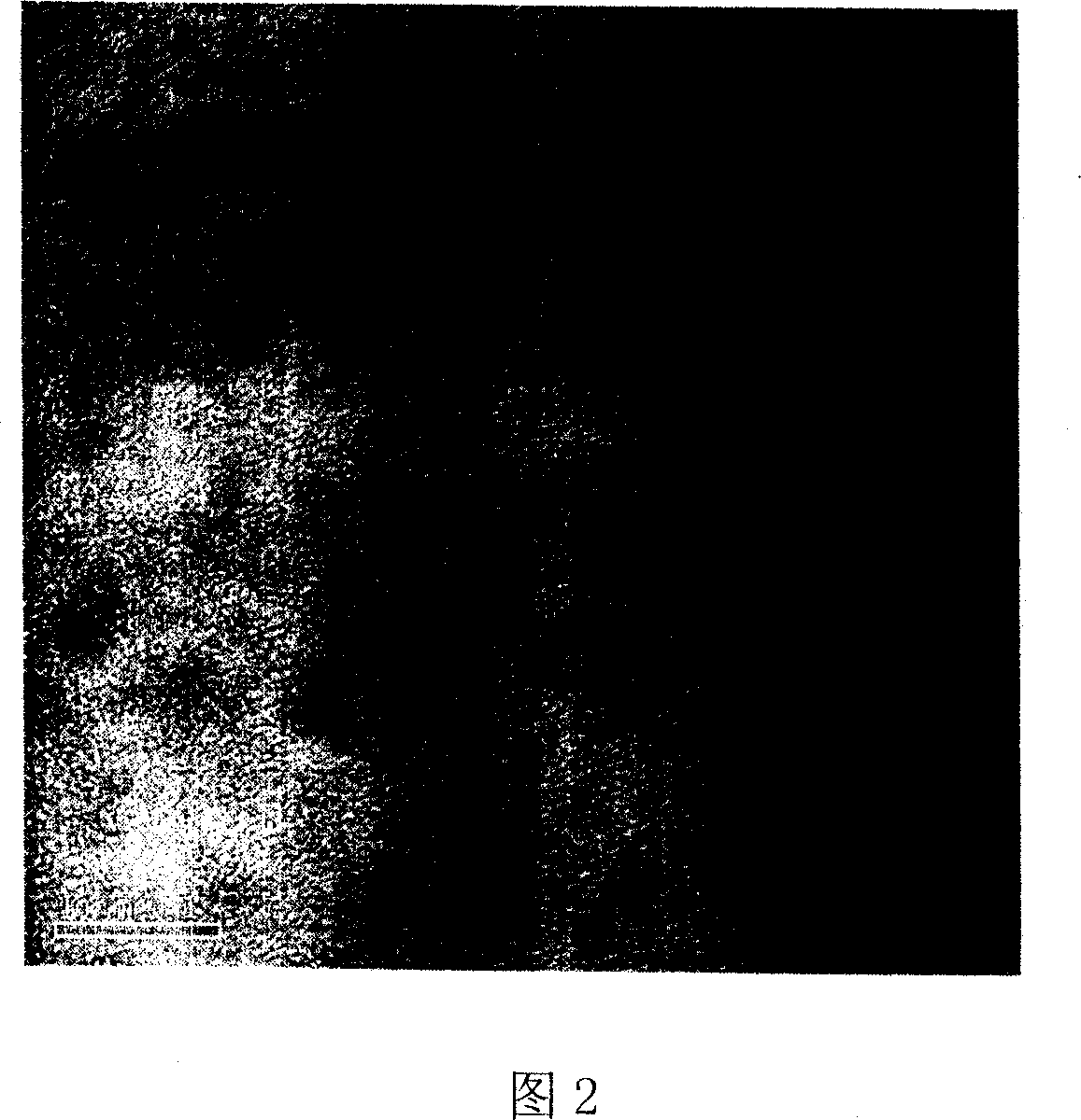 One-step process of preparing monodispersive nanometer bismuth sulfide particle