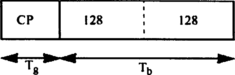 Wireless channel estimation method and evaluation device for orthogonal frequency division multiplexing communication system