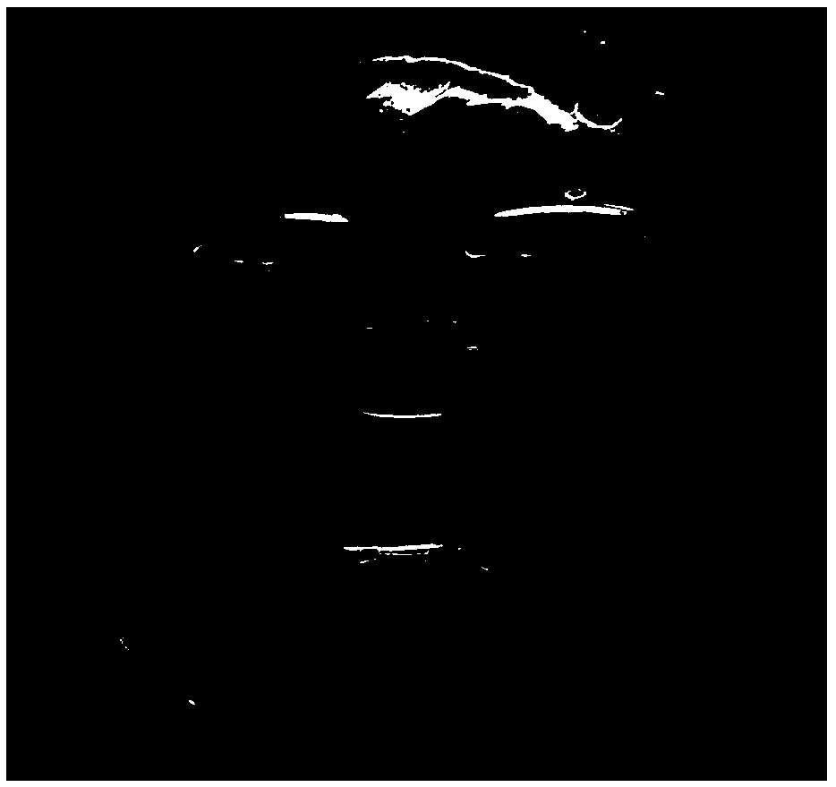 Hydrogel repair mask and preparation method thereof