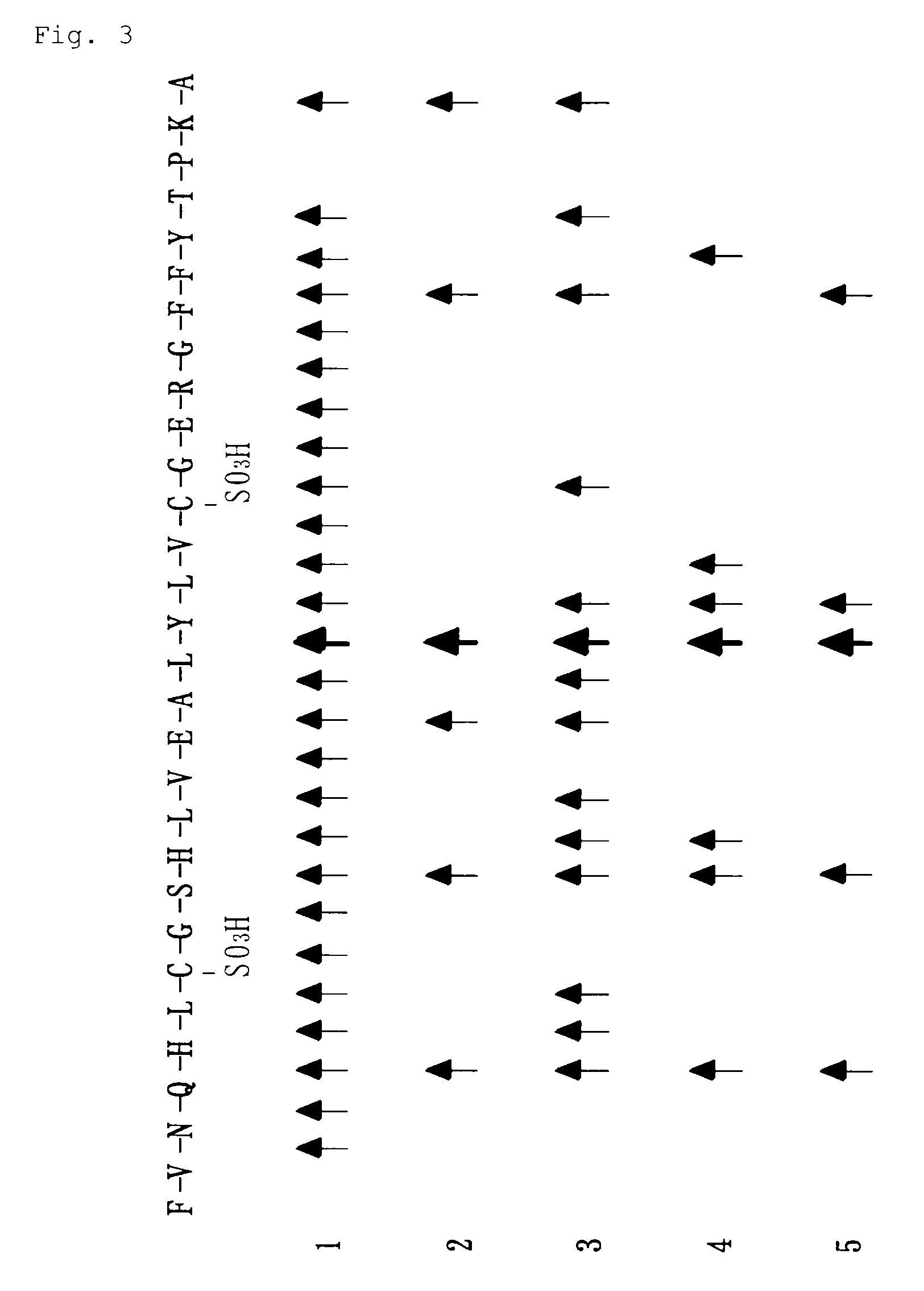 High alkaline protease and use thereof