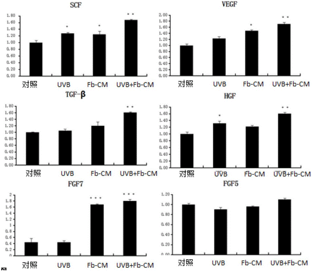 Preparation method of cell nutrient solution for promoting hair regeneration