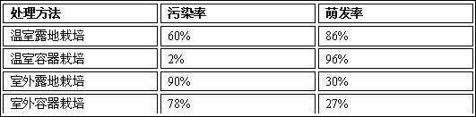 Tissue culture propagation method of cinnamomum japonicum