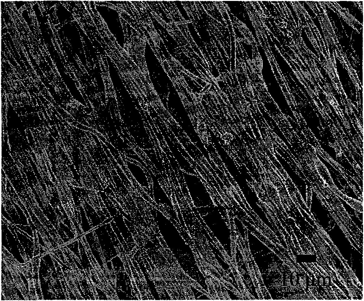 Coaxial spinning method for preparing hollow molecular sieve fiber possessing grade structure