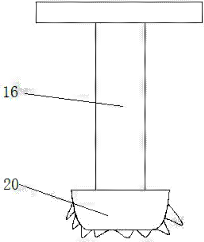 Tumor ponding drainage apparatus