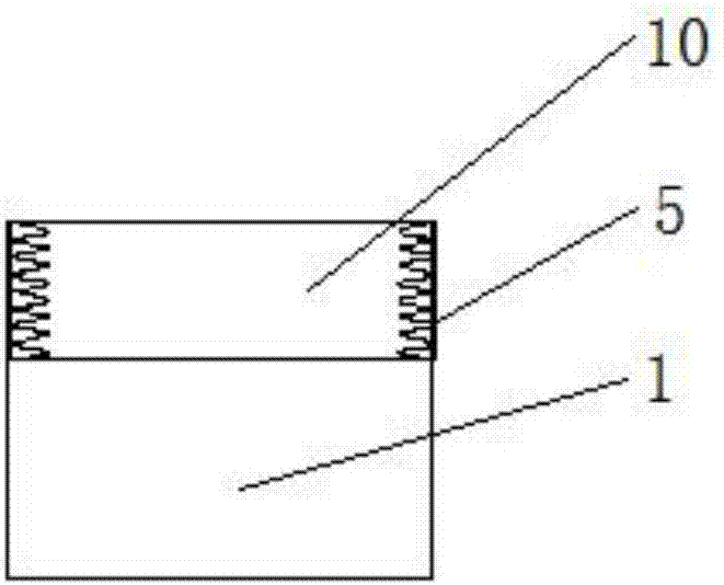 Tumor ponding drainage apparatus