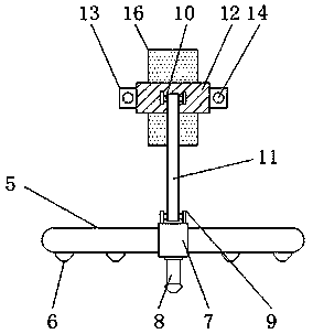 Agricultural watering device capable of assisting early growth of fruit trees