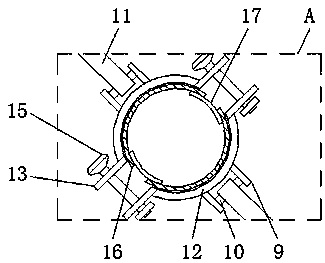 Agricultural watering device capable of assisting early growth of fruit trees