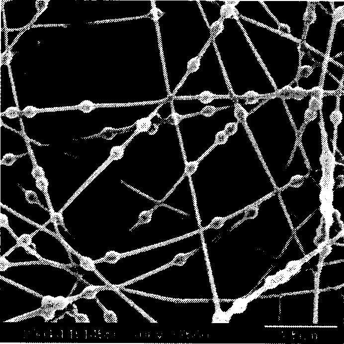 Core-shell composite micron/nano fiber and preparation method thereof