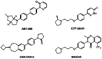 Preparation and applications of phenylquinolinone-based and flavone-based derivative