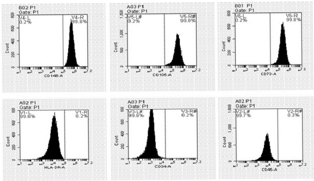 Periodontal ligament stem cells osteogenic differentiation inducing liquid and method