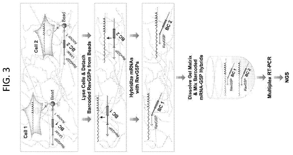 Compartment-Free Single Cell Genetic Analysis