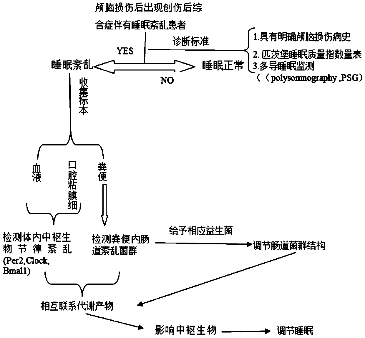 Probiotic composition and application thereof in improvement of sleep disorder