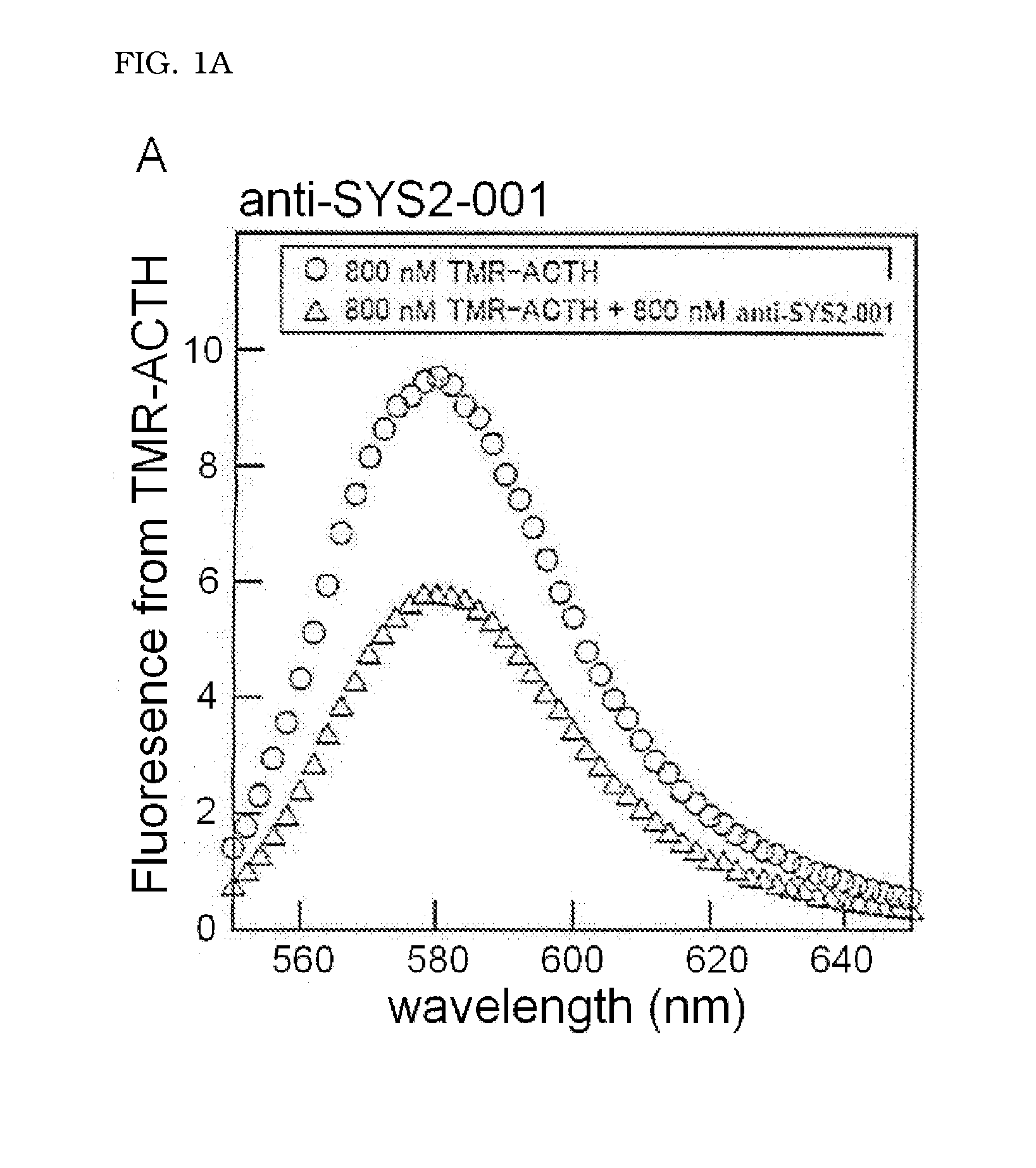 Molecule capable of binding to adrenocorticotropic hormone, and use thereof