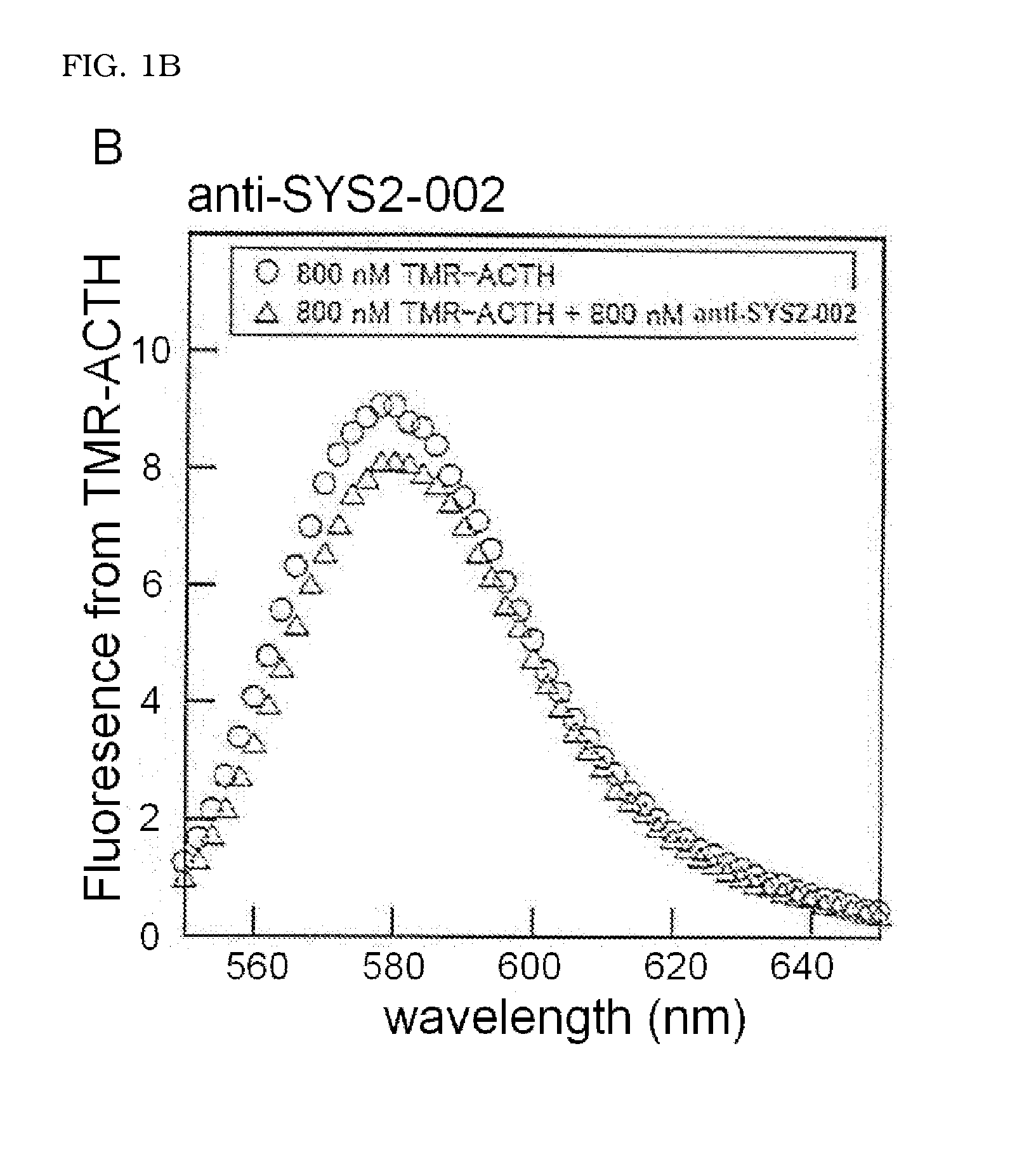 Molecule capable of binding to adrenocorticotropic hormone, and use thereof